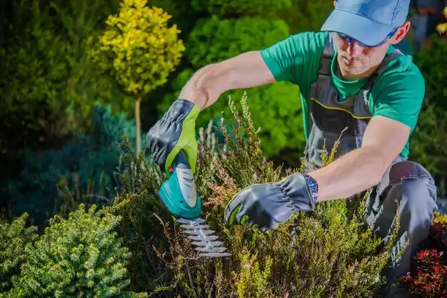 landscaping services Osceola